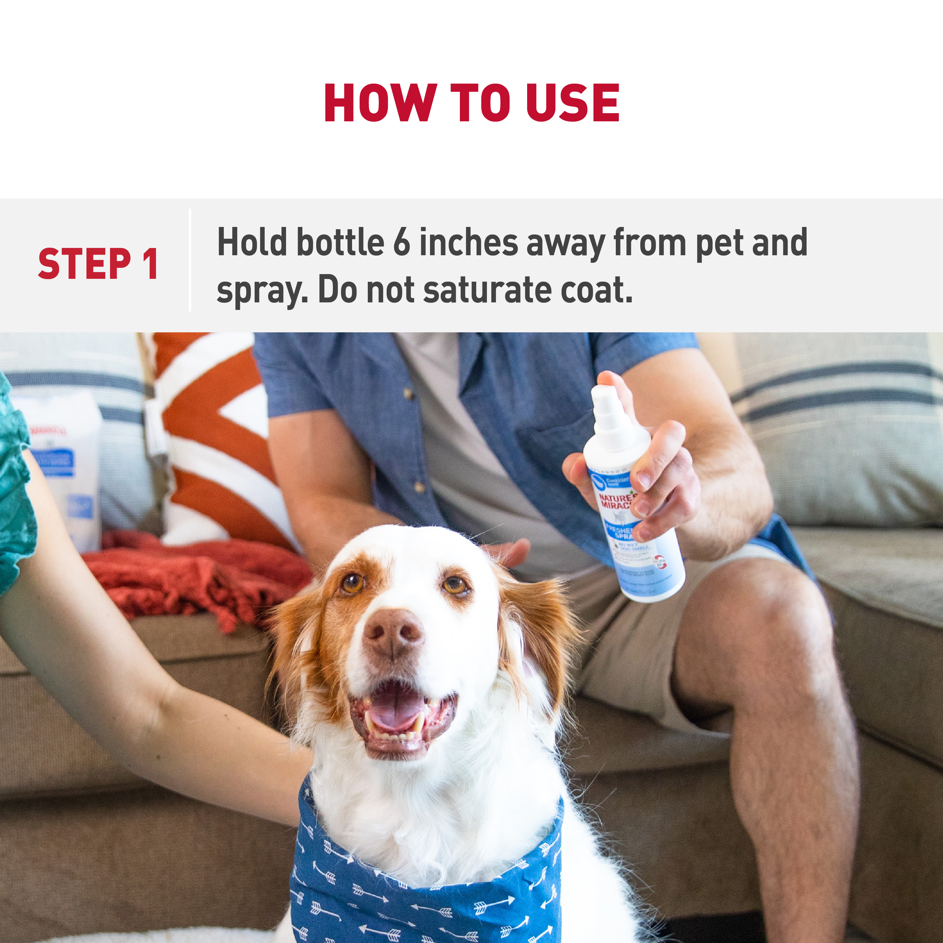 Couch spray for online dogs